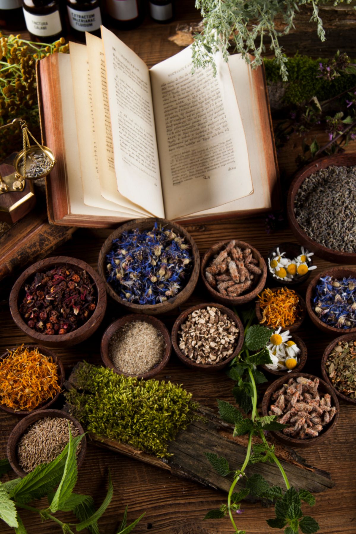 Family Blessings & Support